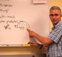 Dave Althoff teaching from the white board