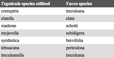 digonogastra data table