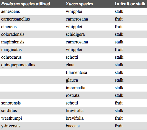 eupelmus table