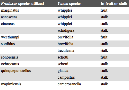 Eurytoma table