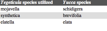 Tegeticula species table