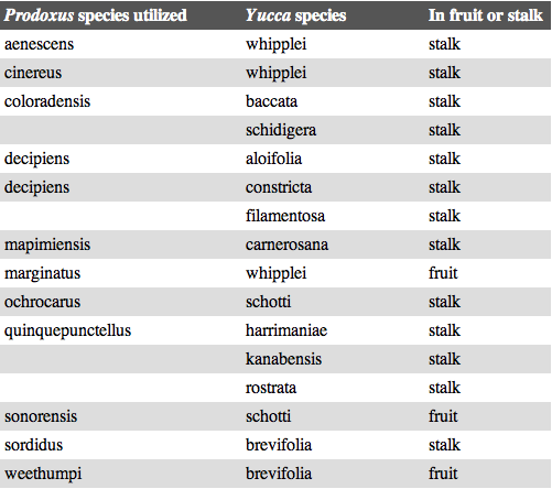 heterospilus data table